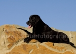 05 Sina on the Rock